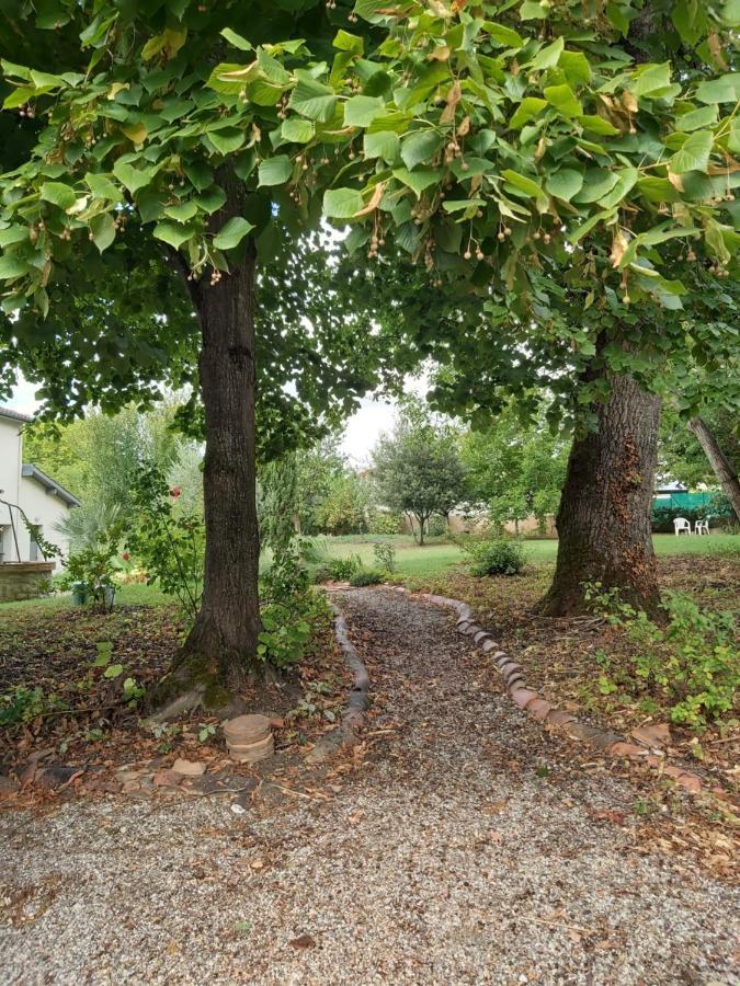O Nature Cheris Mes Voeux Avant Qu'Ils S'Enfuient Francescas Εξωτερικό φωτογραφία