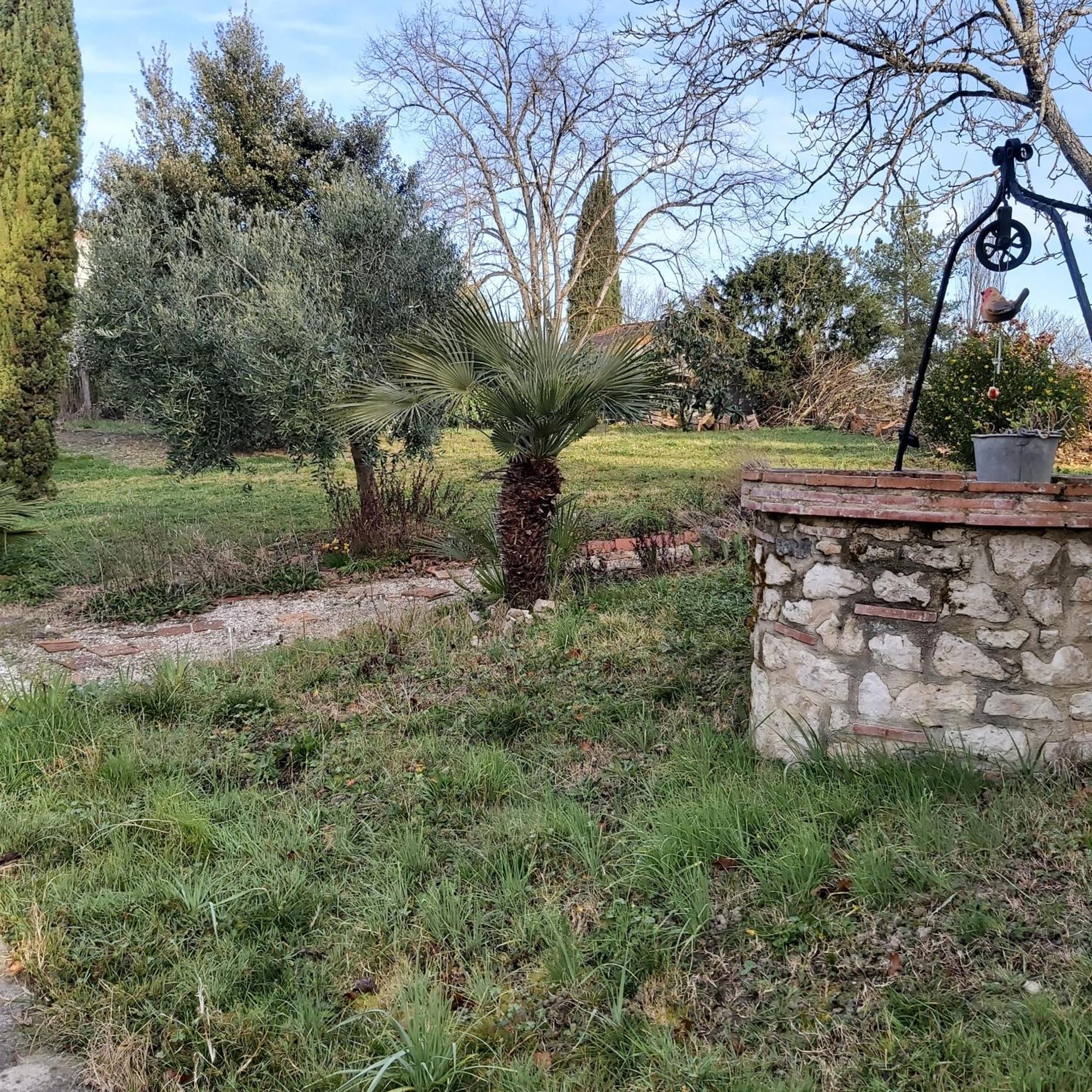 O Nature Cheris Mes Voeux Avant Qu'Ils S'Enfuient Francescas Εξωτερικό φωτογραφία